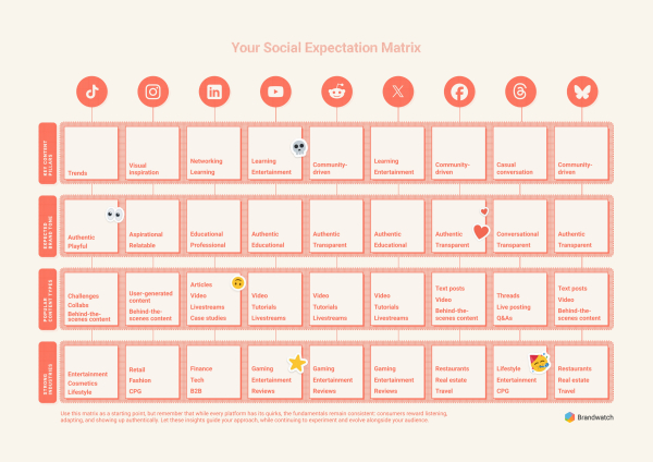 ▲ 소셜 미디어 기대지형도(social expectation matrix). ⓒ브랜드워치
