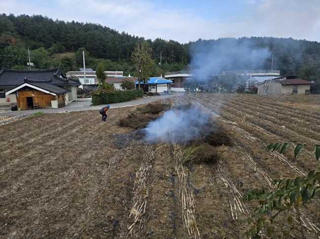 ▲ 불법소각 장면. ⓒ강릉시