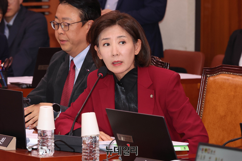 ▲ 나경원 국민의힘 의원이 11월 12일 국회에서 열린 법제사법위원회 전체회의에서 발언을 하고 있다. ⓒ이종현 기자