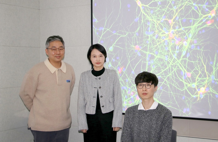 ▲ DGIST(총장 이건우)는 뇌과학과 엄지원·고재원 교수 연구팀이 헌팅턴 병 발병의 핵심 원인인 독성 단백질 응집체를 직접 풀어 없애는 미토콘드리아 단백질 ‘ClpB’의 기능을 세계 최초로 규명했다(왼쪽부터) DGIST 고재원·엄지원 교수, 김현호 박사후연수연구원).ⓒDGIST