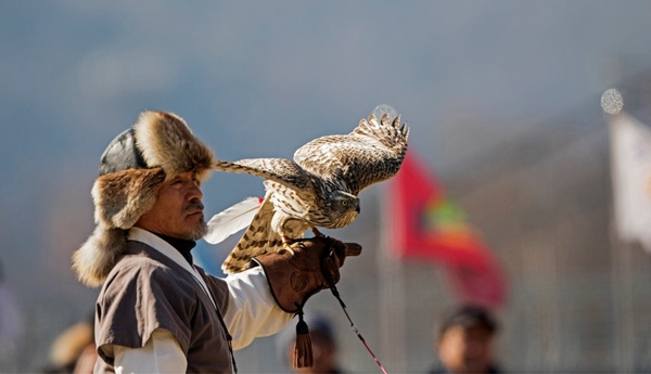 ▲ 대전시는 6일 한국전통매사냥 전수체험학교에서 일반시민을 대상으로 매사냥 공개 시연회가 열린다.ⓒ대전시