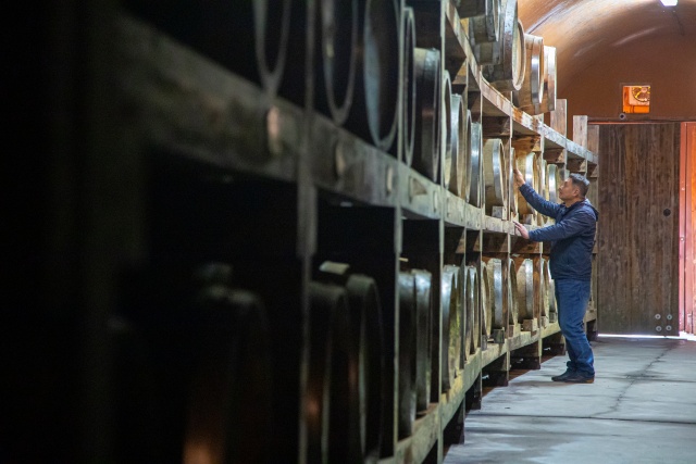 ▲ 캠핑과 와인 체험이 한 번에 ‘파주 산머루농원’ ⓒ경기관광공사 제공
