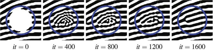 ▲ 편미분방정식을 이용하여 지문을 복원하는 과정을 나타낸 계략도.ⓒ고려대