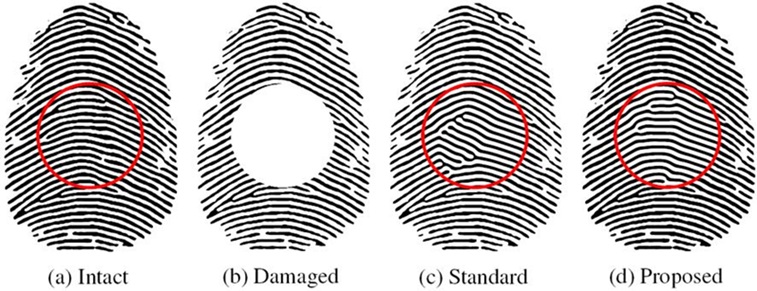 ▲ 선행연구 기법이 가지고 있는 불균형 결과와 연구팀이 제안한 기법이 불균형 문제를 해결한 결과.ⓒ고려대