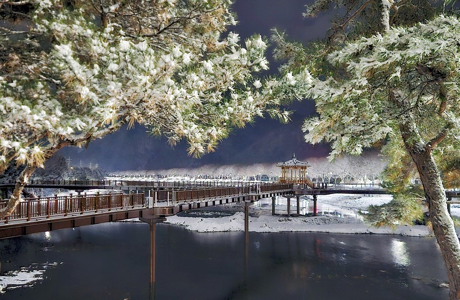 ▲ 첫눈과 조명이 빚은 ‘겨울밤 에코뷰’의 아름다운 모습.ⓒ괴산군