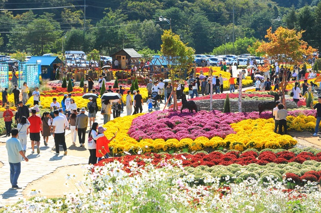 ▲ 인제가을꽃축제 모습. ⓒ인제군