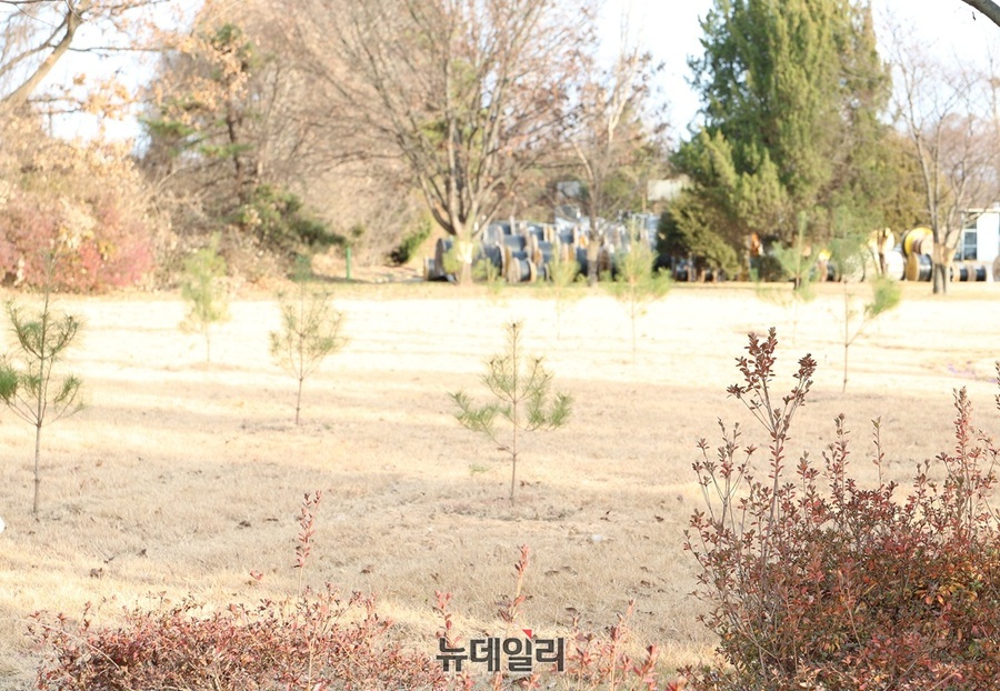 ▲ A전선이 산지관리법 위반으로 예산군에 의해 적발된 후 복구를 완료했지만, 잔디밭은 그대로 둔 채 어린 소나무만 듬성 듬성 심어놨다. ⓒ뉴데일리