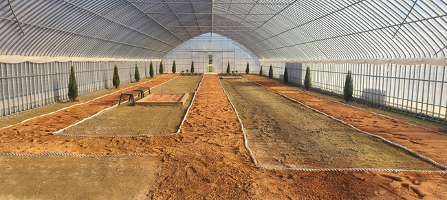 ▲ 꽃묘장 맨발 황톳길 모습. ⓒ속초시