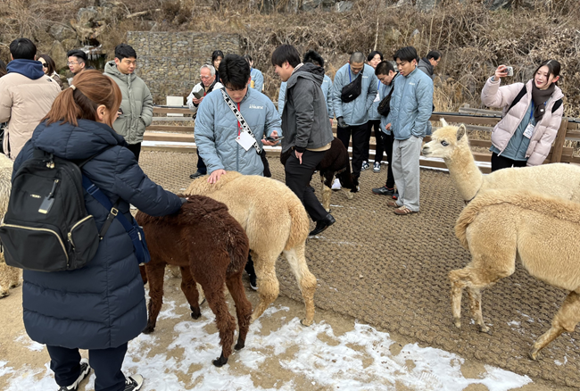 ▲ 강원관광재단과 강원특별자치도체육회가 지난 6일 돗토리현 스포츠 교류단을 대상으로 춘천과 홍천 투어 상품을 성공적으로 운영했다. ⓒ강원관광재단