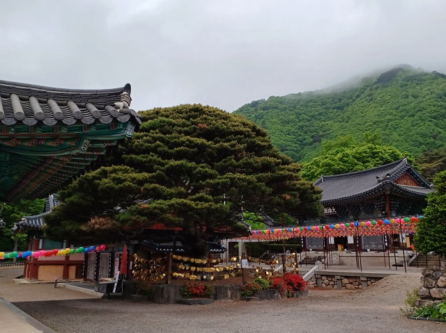 ▲ 보경사 전경.ⓒ포항시