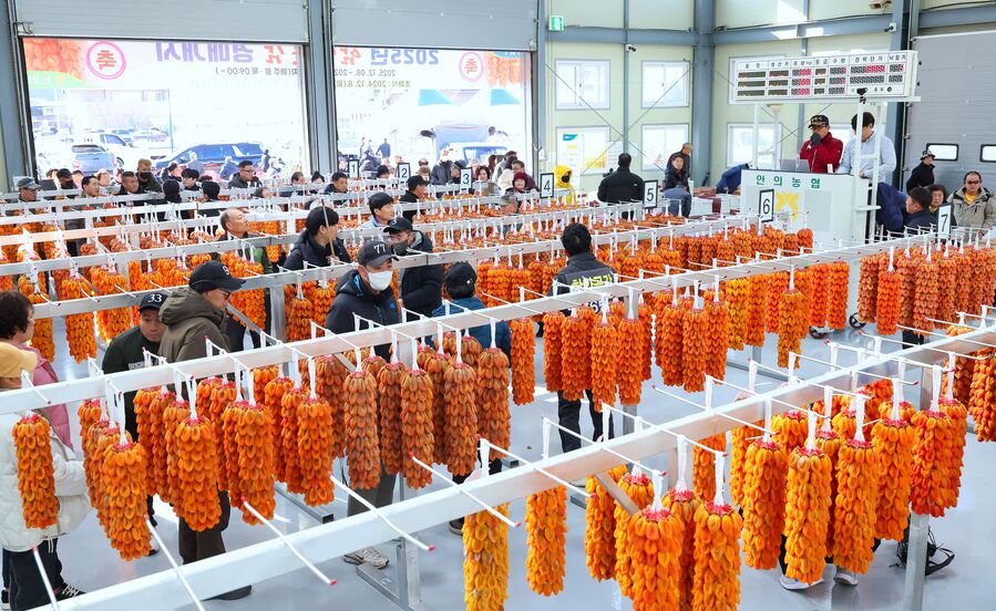 지리산 명품 함양곶감, 초매식 갖고 본격 출하