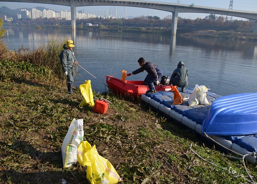 ▲ 대구시는 12월부터 내년 3월까지 낙동강과 금호강 일원에서 철새 먹이주기 활동을 실시한다.ⓒ대구시