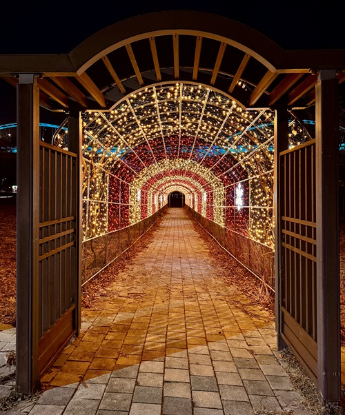 ▲ 세종합강캠핑장에 새롭게 설치한 야간조명 모습.ⓒ세종시시설관리공단