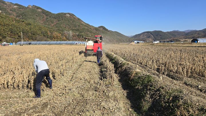 ▲ 제5회 국산콩 우수 생산단지 선발대회 현장평가 사진.ⓒ농림축산식품부