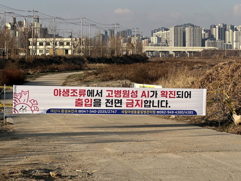 ▲ 아산 봉강천 고병원성 조류인플루엔자 발생지 반경 500m에 출입통제 조치가 시행되고 있다.ⓒ아산시