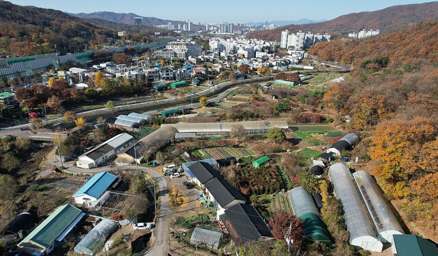 ▲ 서리풀지구 전경. ⓒ연합뉴스