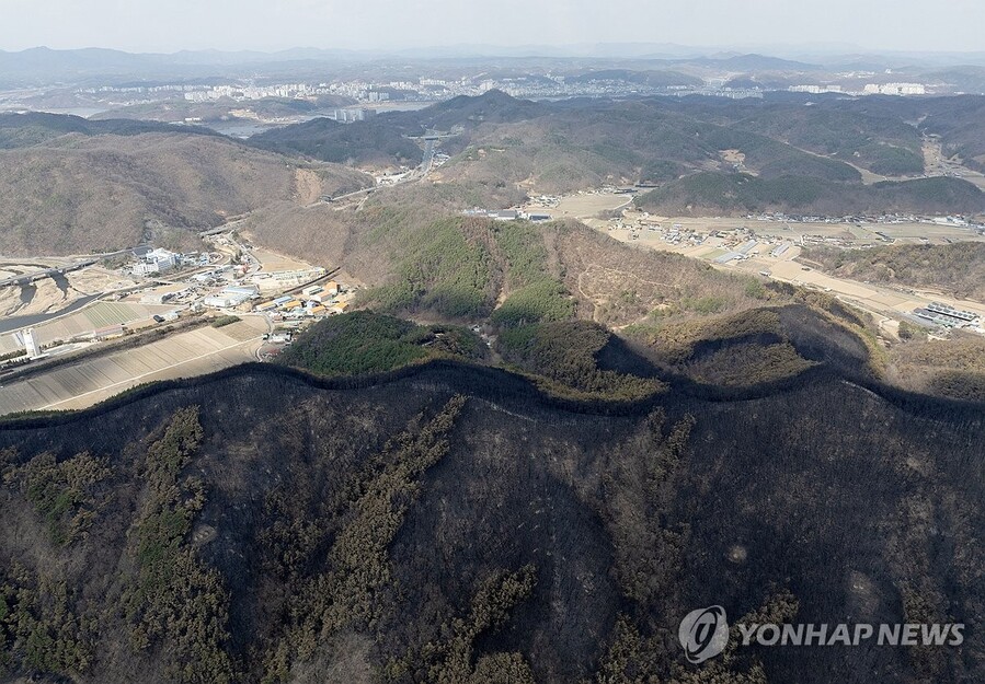 ▲ 지난 3월 경북 안동시 남후면 일대 산들이 까맣게 타 있는 모습 ⓒ연합뉴스