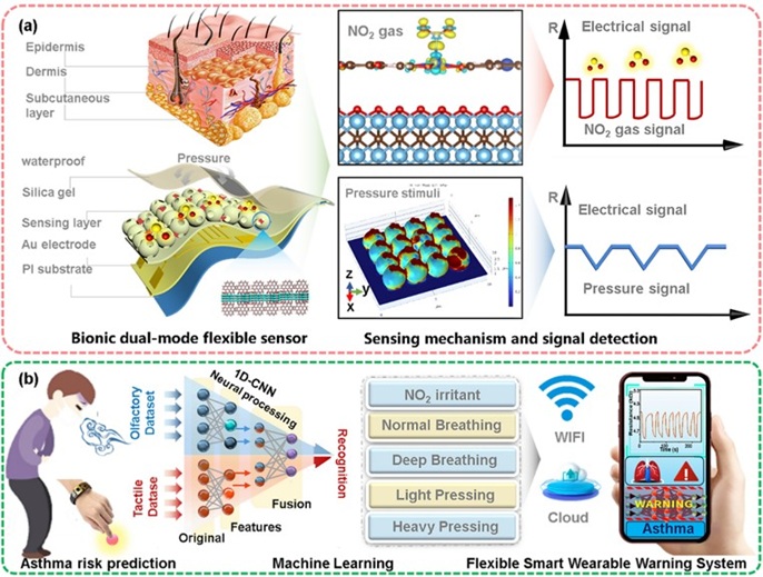 ▲ 인공 표피를 기반으로 천식을 조기 진단할 수 있는 스마트 헬스케어 플랫폼.ⓒ고려대