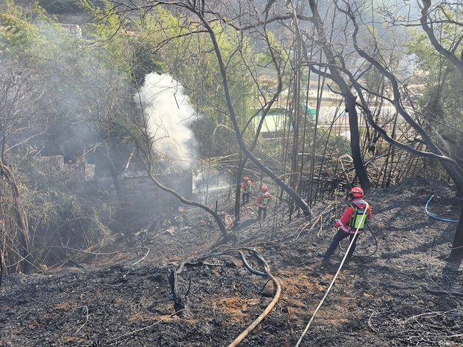 ▲ 산불진화를 위해 산불진화헬기 10대, 산불진화차량 15대, 소방차 27대, 진화인력 215명을 투입해 신속한 초기대응을 실시했다. ⓒ동부지방산림청