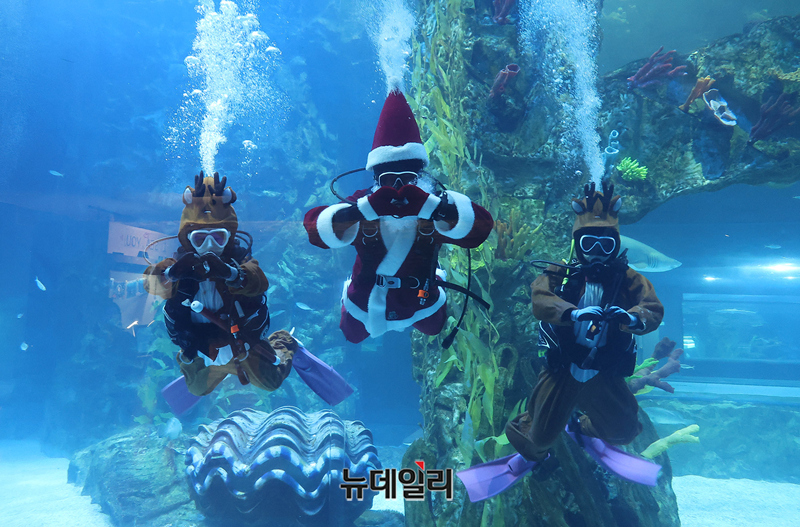 [영상] 롯데월드 아쿠아리움 '메인수조 등장한 산타와 루돌프 만나보세요'