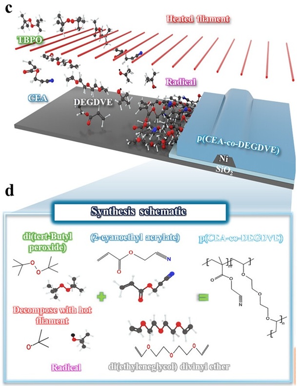 ▲ (c)개시 화학 기상 증착(iCVD)을 이용한 초박막 공중합체 필름 합성 개략도. (d) iCVD에 사용되는 기화된 단량체의 분자 구조.ⓒ단국대