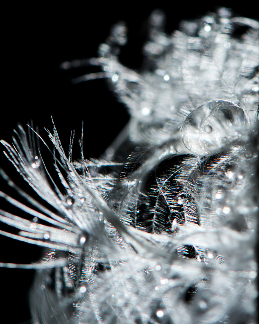 ▲ ⓒ코오롱스포츠