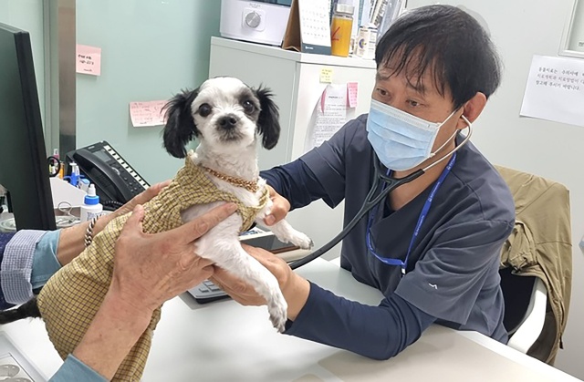 ▲ 성남시립동물병원에서 진료 중인 수의사. ⓒ성남시 제공