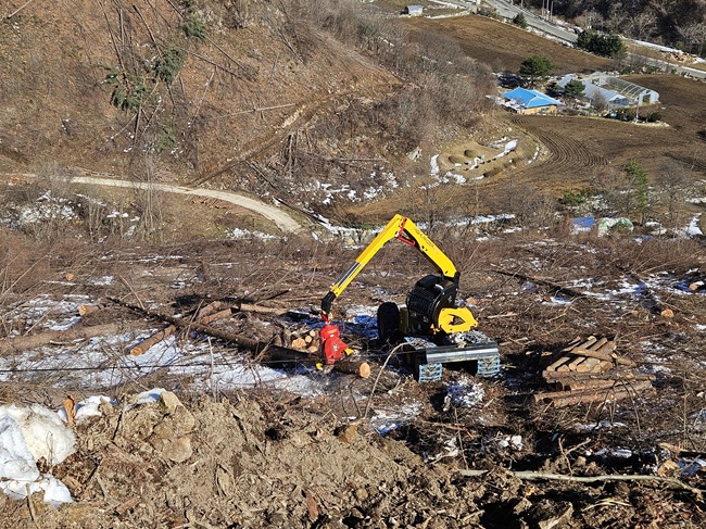 ▲ 하이랜더를 활용한 목재 조재 장면. ⓒ동부지방산림청