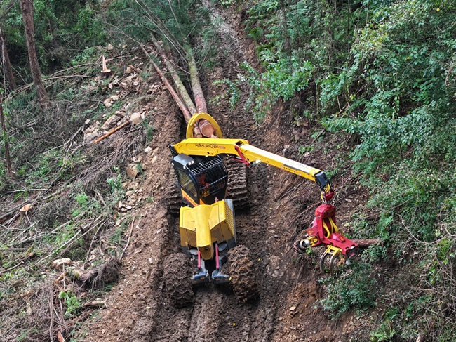 ▲ 하이랜더을 활용한 목재 운반 장면. ⓒ동부지방산림청