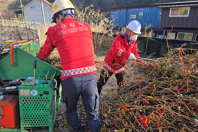 ▲ 영농부산물 파쇄 장면. ⓒ동부지방산림청
