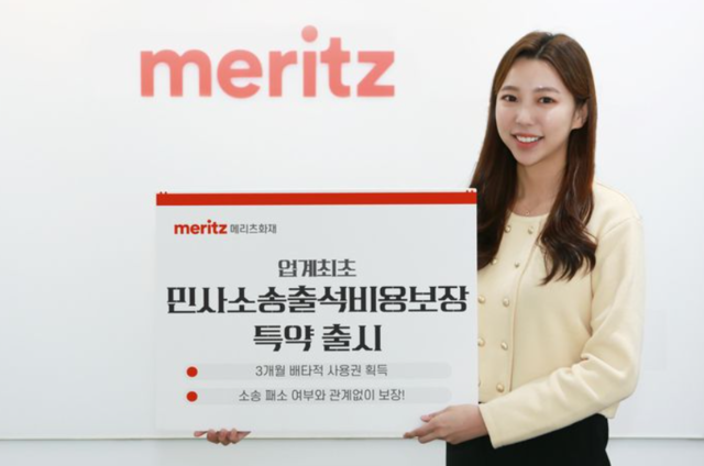 ▲ ⓒ메리츠화재