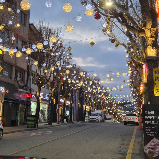 ▲ 영월군이 중앙로 일대에 가로수를 활용한 구(球) 모양 전구를 설치해 아름다운 빛의 거리를 조성했다. ⓒ영월군