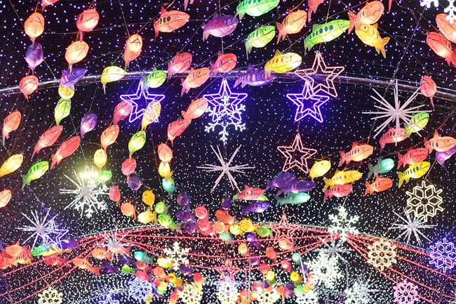 ▲ 화천군이 20일 오후 6시 화천읍 중앙로 일대에서 선등거리 점등식을 개최했다. ⓒ화천군