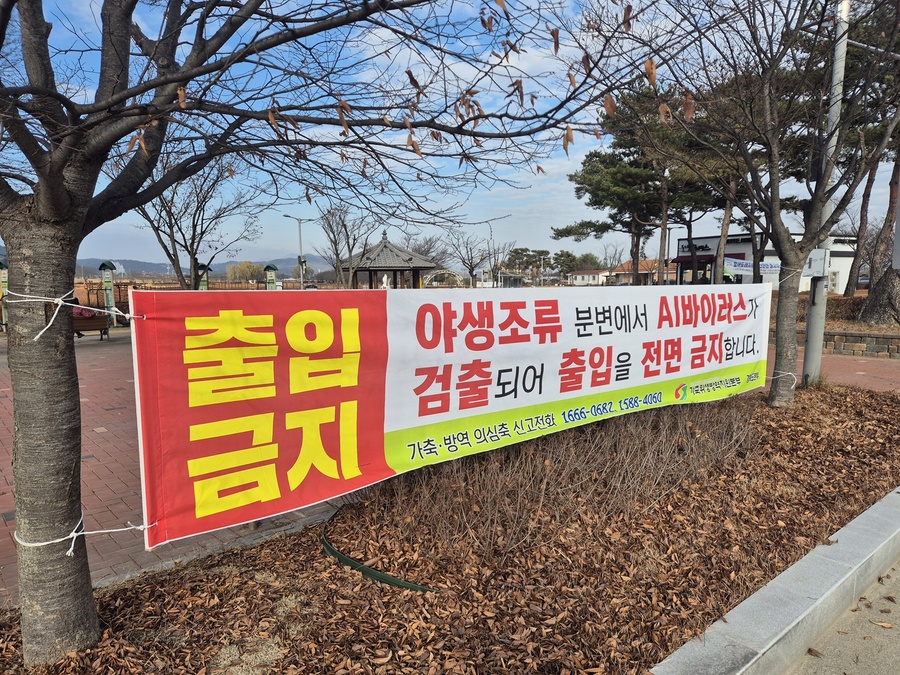 ▲ 야생조수류 예찰지역(시료 채취 지점 중심 반경 10km 이내) 내 사육 가금 이동통제 등 차단방역 강화 태세를 계속 유지한다.ⓒ경북도