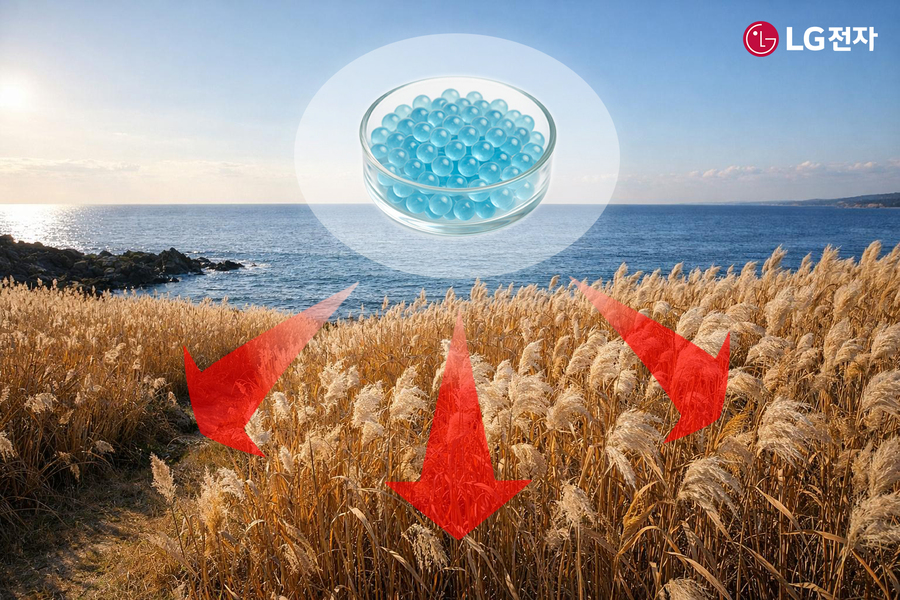 ▲ 부산시 갈대밭에 마린 글라스를 적용하는 모습 예시(AI 제작).ⓒLG전자