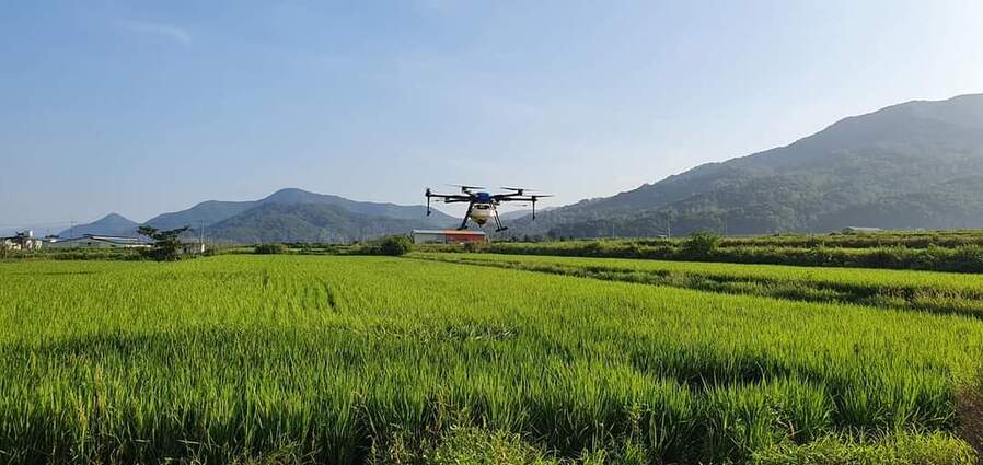 ▲ 혁신농업타운은 마을 전체를 하나의 농업법인처럼 운영하는 공동영농 모델로, 청년농업인이 법인을 중심으로 영농을 주도하고 고령농은 농지를 법인에 맡긴 채 참여농가로 함께하는 구조가 특징이다(혁신농업타운).ⓒ청도군