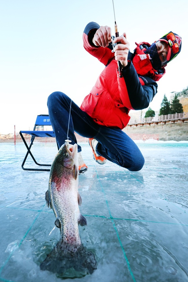 ▲ 지난해 열린 평창송어축제 장면. ⓒ평창군
