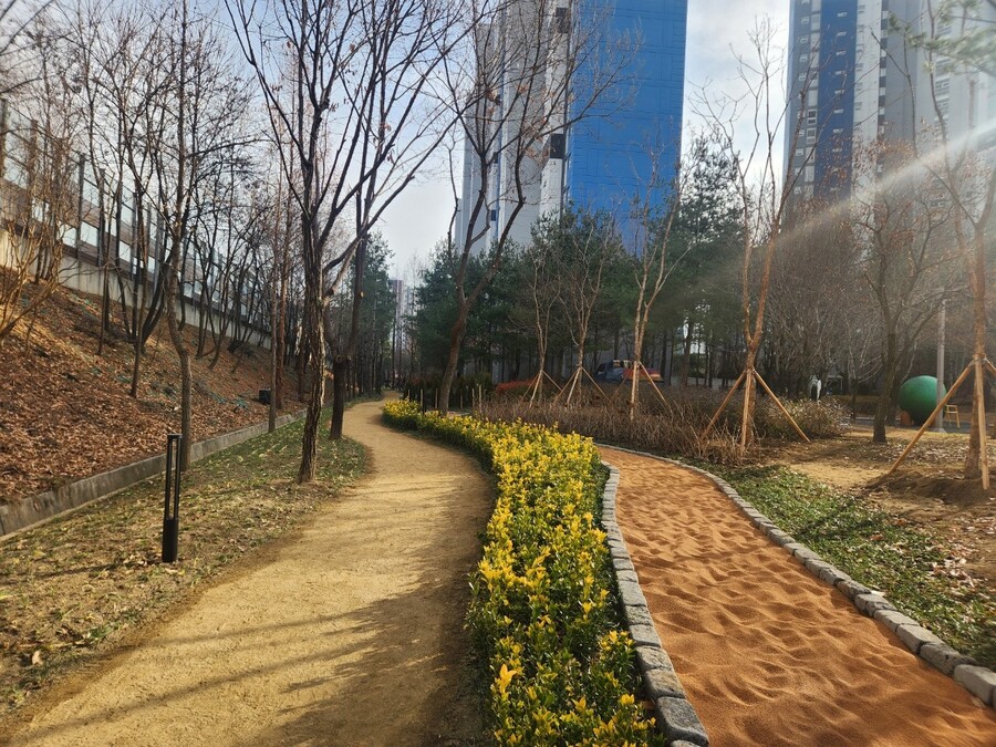 ▲ 대구 동구청(구청장 윤석준)은 최근 동구 봉무동 1619번지 일원에 ‘봉무동 완충녹지 맨발산책로 조성사업’을 완료했다.ⓒ대구 동구청