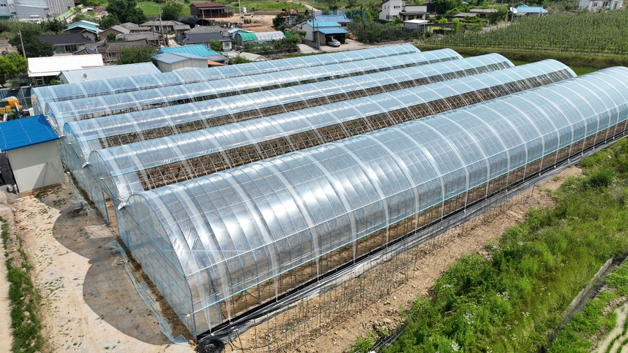 ▲ 기후변화와 자연재해의 위기에 대응하기 위해 청송사과를 중심으로 한 미래형 농업체계 구축을 본격화한다.ⓒ청송군