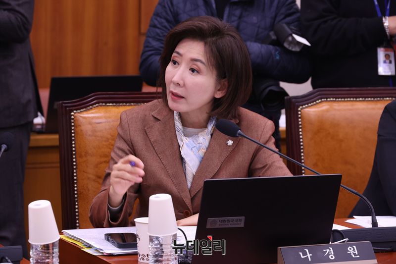▲ 나경원 국민의힘 의원이 10일 국회에서 열린 법제사법위원회 전체회의에서 발언을 하고 있다. 2025.12.10. ⓒ이종현 기자
