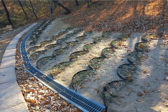 ▲ 대구 동구청(구청장 윤석준)은 최근 산지형 공원인 신암공원 내 경사지의 안전성 확보를 위해 추진한 ‘사면 안정화 특허공법 시범 사업’을 완료했다.ⓒ대구 동구청