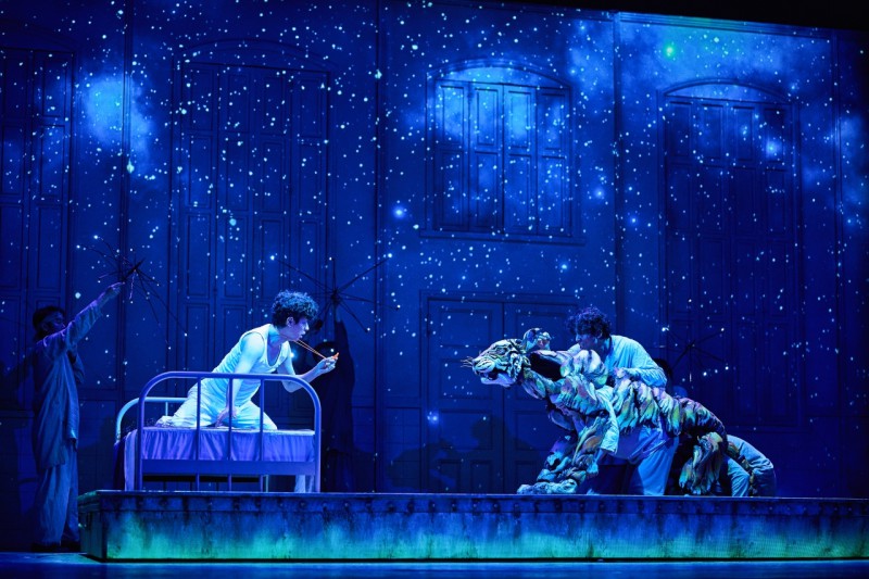 ▲ '라이프 오브 파이' 공연 스틸.ⓒ에스앤코