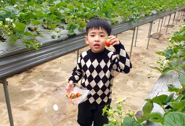 ▲ ⓒ이랜드파크