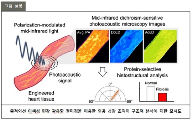 ▲ 연구 관련 그림.ⓒ포스텍