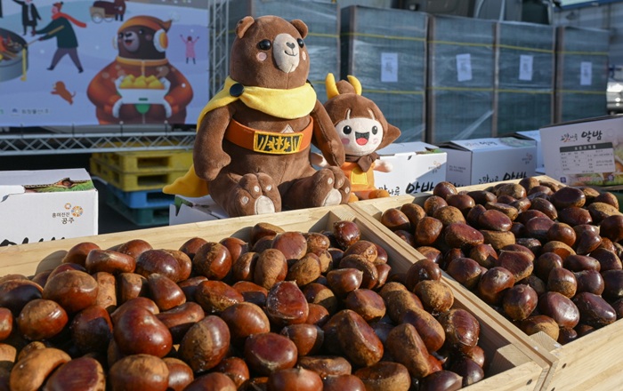 ▲ 공주알밤 미국 수출 선적 모습.ⓒ공주시