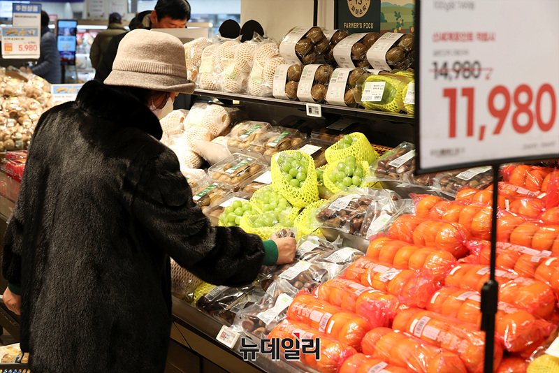 ▲ 서울 시내 대형마트에서 시민들이 장을 보고 있다. ⓒ뉴데일리