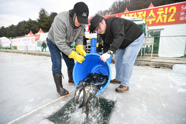 ▲ 2026 얼음나라 화천산천어축제 개막을 하루 앞둔 9일, 오전부터 축제가 열리는 화천천에 축양장에서 수온 적응을 마친 산천어들이 방양되고 있다. 화천산천어축제는 10일부터 내달 1일까지 개최된다. ⓒ화천군
