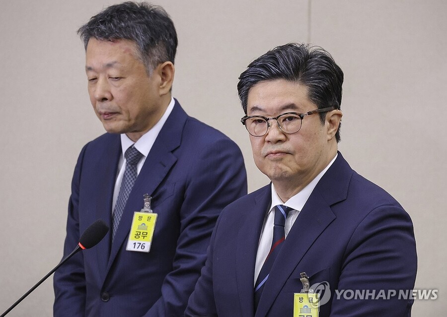 ▲ 국정감사 출석한 김병주 MBK파트너스 회장ⓒ연합뉴스