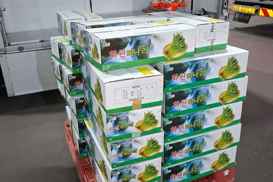 ▲ 화원농협 미나리 작목반(이하 ‘작목반’)은 대한민국 최대 규모의 농수산물 도매시장인 가락농수산물종합도매시장(이하 ‘가락시장’)과 지난해 12월 말 정식 상견례를 갖고, 2026년 새해 초부터 화원 미나리 출하를 시작했다. ⓒ달성군