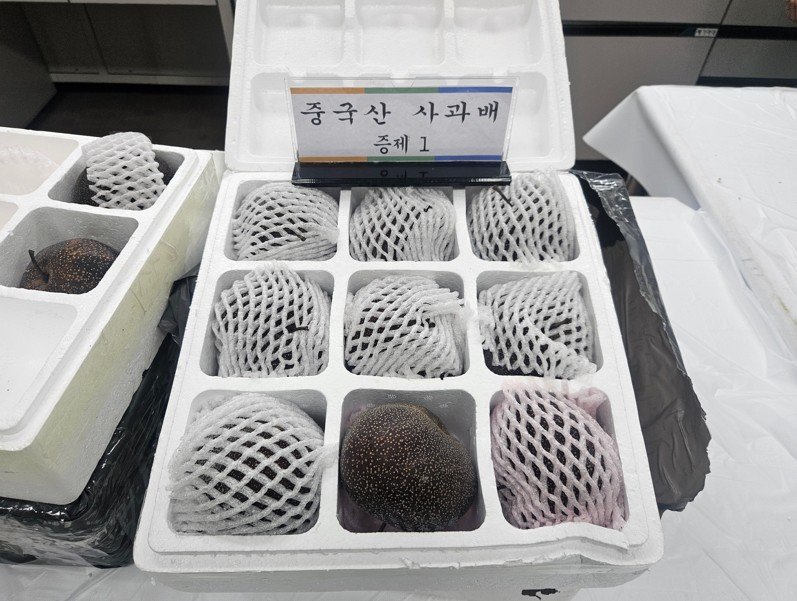 ▲ 중국산 사과배(수입 금지품) 적발 관련 사진. ⓒ농림축산검역본부